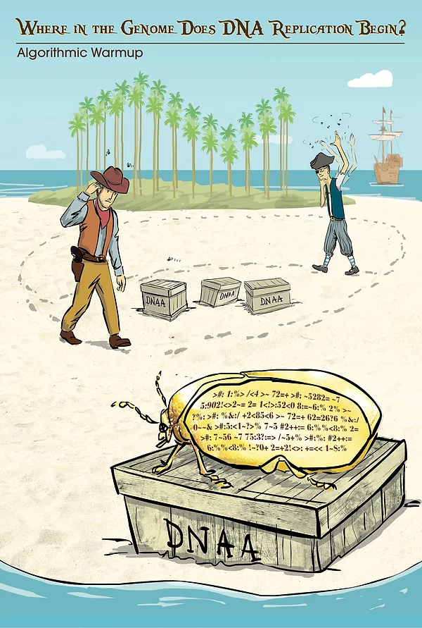 Where in the Genome Does DNA Replication Begin?